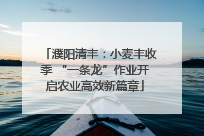 濮阳清丰：小麦丰收季 “一条龙”作业开启农业高效新篇章