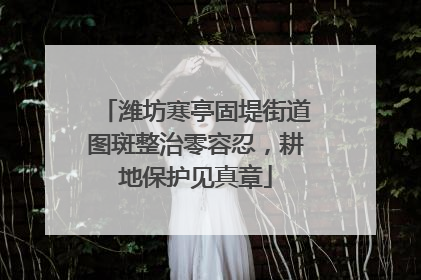 潍坊寒亭固堤街道图斑整治零容忍，耕地保护见真章