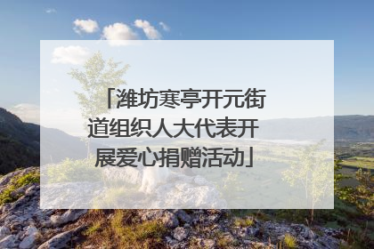 潍坊寒亭开元街道组织人大代表开展爱心捐赠活动
