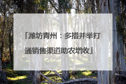 潍坊青州：多措并举打通销售渠道助农增收