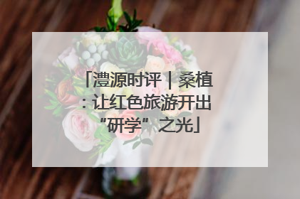 澧源时评｜桑植：让红色旅游开出“研学”之光