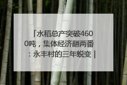 水稻总产突破4600吨，集体经济翻两番：永丰村的三年蜕变｜您牵挂的四川
