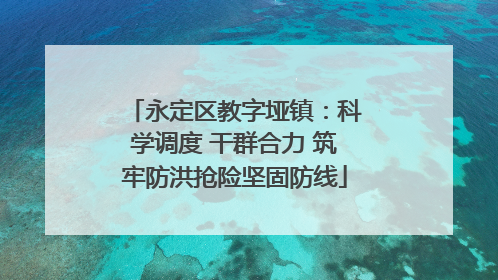 永定区教字垭镇：科学调度 干群合力 筑牢防洪抢险坚固防线