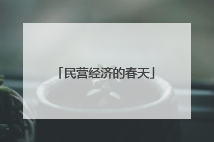民营经济的春天