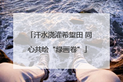 汗水浇灌希望田 同心共绘“绿画卷”