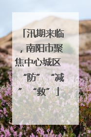 汛期来临，南阳市聚焦中心城区“防”“减”“救”