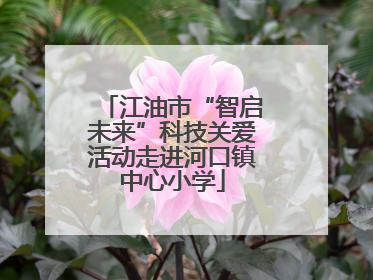 江油市“智启未来”科技关爱活动走进河口镇中心小学