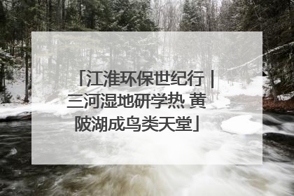 江淮环保世纪行｜三河湿地研学热 黄陂湖成鸟类天堂
