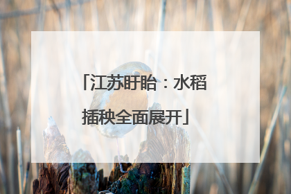 江苏盱眙：水稻插秧全面展开