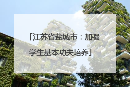江苏省盐城市：加强学生基本功夫培养
