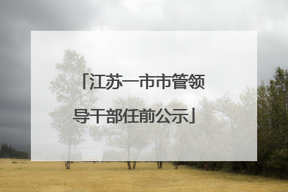 江苏一市市管领导干部任前公示