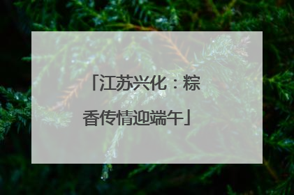 江苏兴化：粽香传情迎端午