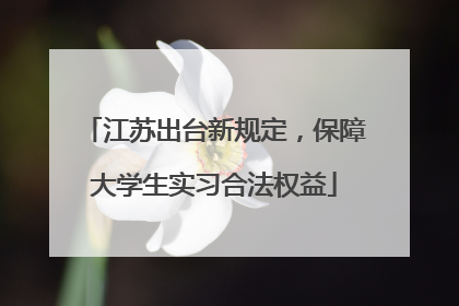 江苏出台新规定，保障大学生实习合法权益