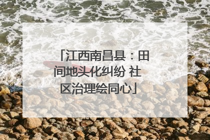 江西南昌县：田间地头化纠纷 社区治理绘同心