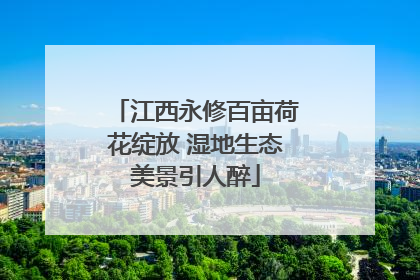 江西永修百亩荷花绽放 湿地生态美景引人醉