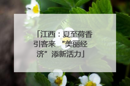 江西：夏至荷香引客来 “美丽经济”添新活力