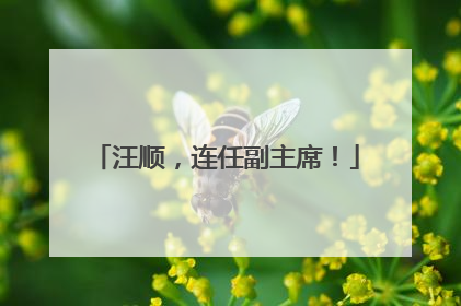 汪顺，连任副主席！