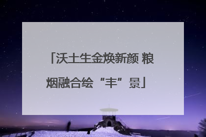 沃土生金焕新颜 粮烟融合绘“丰”景