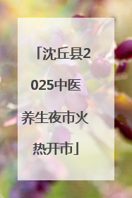 沈丘县2025中医养生夜市火热开市