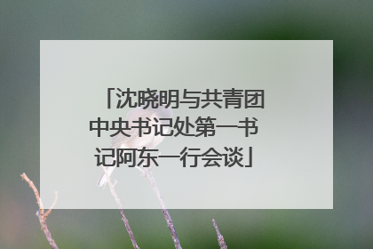 沈晓明与共青团中央书记处第一书记阿东一行会谈
