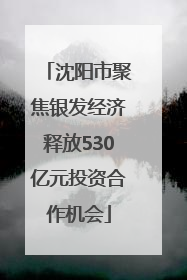沈阳市聚焦银发经济释放530亿元投资合作机会