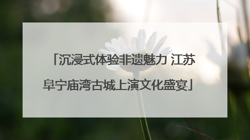沉浸式体验非遗魅力 江苏阜宁庙湾古城上演文化盛宴