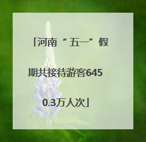 河南“ 五一”假期共接待游客6450.3万人次