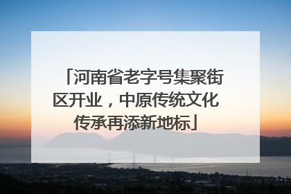 河南省老字号集聚街区开业，中原传统文化传承再添新地标