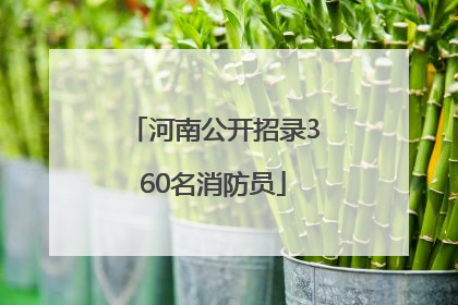 河南公开招录360名消防员