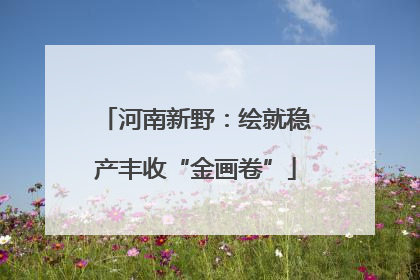 河南新野：绘就稳产丰收“金画卷”