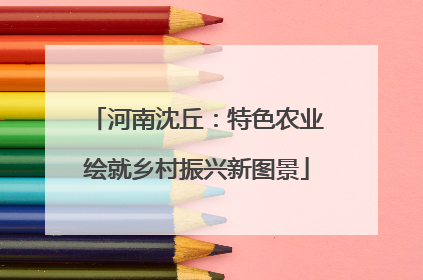 河南沈丘：特色农业绘就乡村振兴新图景