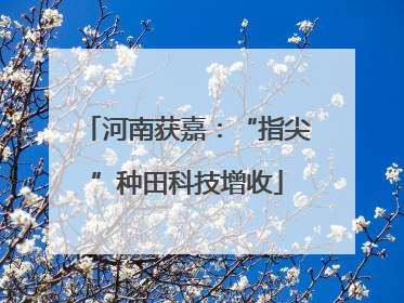 河南获嘉：“指尖”种田科技增收