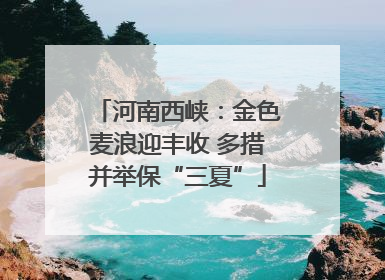 河南西峡：金色麦浪迎丰收 多措并举保“三夏”
