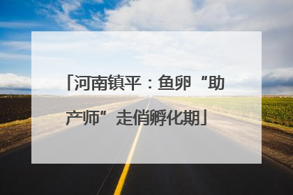河南镇平：鱼卵“助产师”走俏孵化期