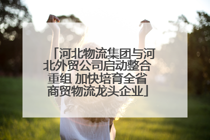 河北物流集团与河北外贸公司启动整合重组 加快培育全省商贸物流龙头企业