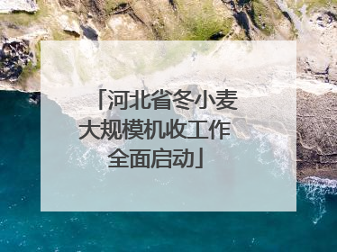 河北省冬小麦大规模机收工作全面启动