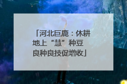 河北巨鹿：休耕地上“慧”种豆 良种良技促增收