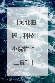 河北曲周：科技小院忙“三夏”