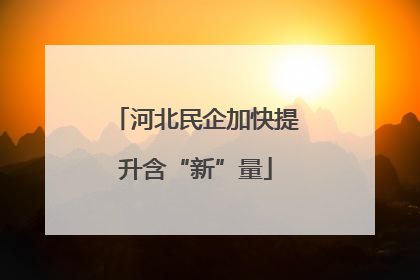 河北民企加快提升含“新”量