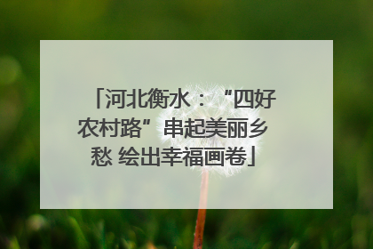 河北衡水：“四好农村路”串起美丽乡愁 绘出幸福画卷