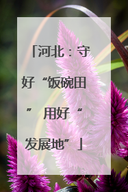 河北：守好“饭碗田” 用好“发展地”