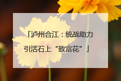 泸州合江：统战助力引活石上“致富花”