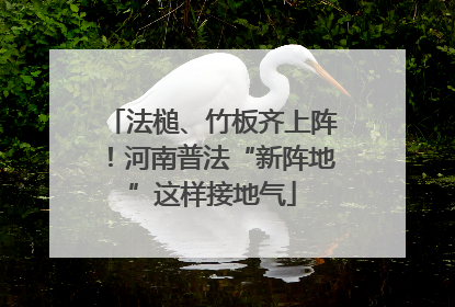 法槌、竹板齐上阵！河南普法“新阵地”这样接地气