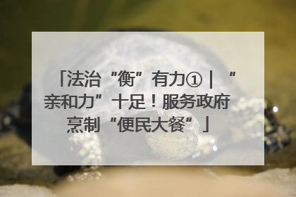法治“衡”有力①｜“亲和力”十足！服务政府烹制“便民大餐”