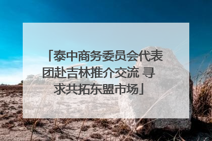 泰中商务委员会代表团赴吉林推介交流 寻求共拓东盟市场