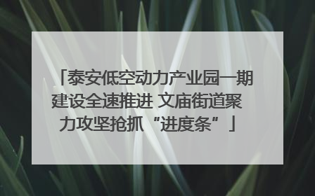 泰安低空动力产业园一期建设全速推进 文庙街道聚力攻坚抢抓“进度条”