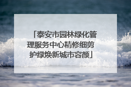 泰安市园林绿化管理服务中心精修细剪护绿焕新城市容颜