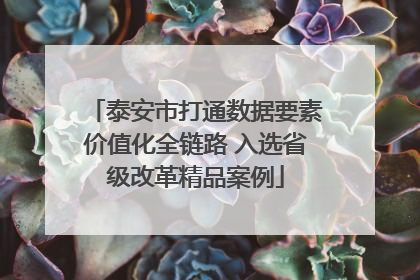 泰安市打通数据要素价值化全链路 入选省级改革精品案例