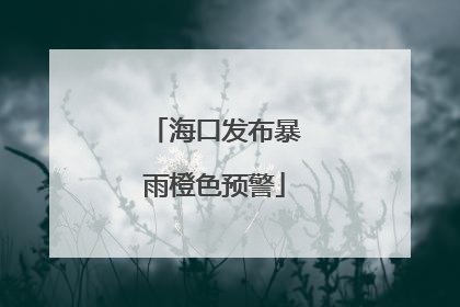海口发布暴雨橙色预警