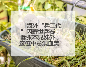 海外“乒二代”闪耀世乒赛，除张本兄妹外，这位中意混血美女爆了大冷